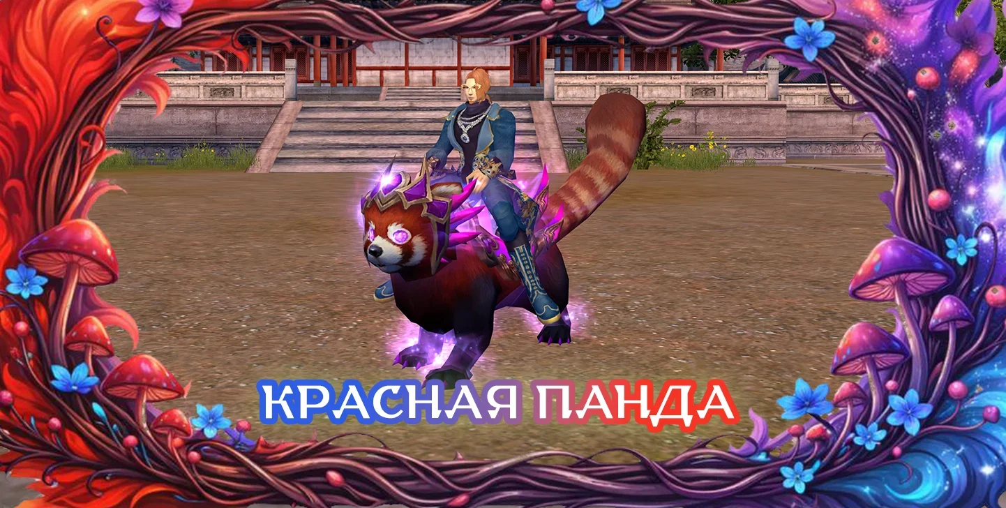 краснаяпанда.webp
